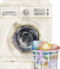 Laundry Illustration